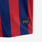 FC Barcelona 2013/14 Local