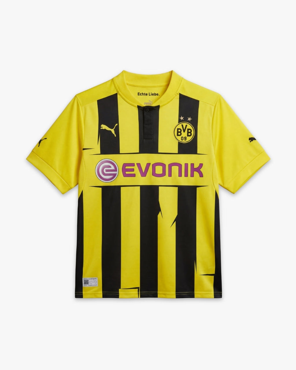 Borussia Dortmund 2012/13 Local