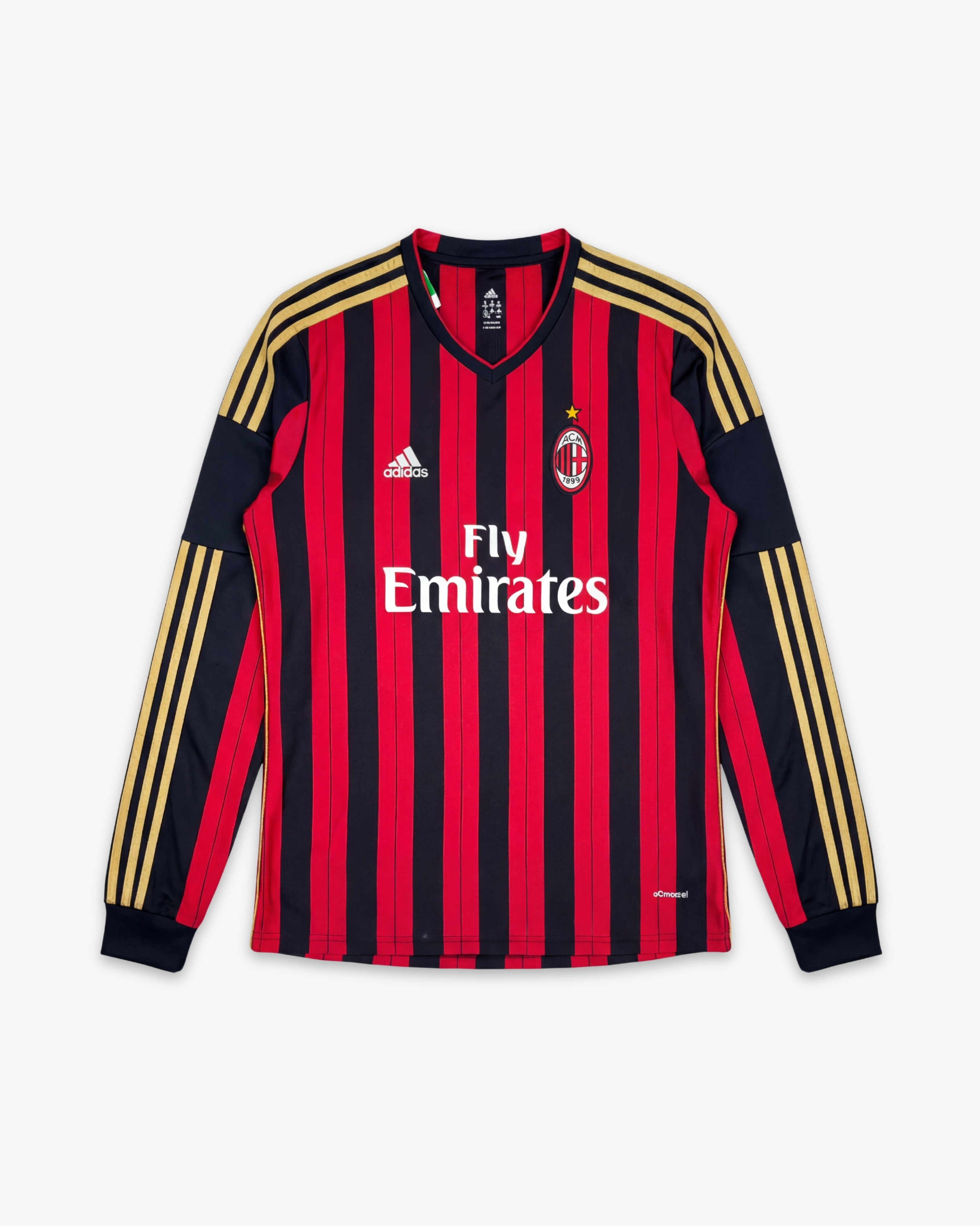 AC Milan 2013/14 Local