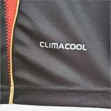 AC Milan 2010/11 Local