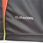 AC Milan 2010/11 Local