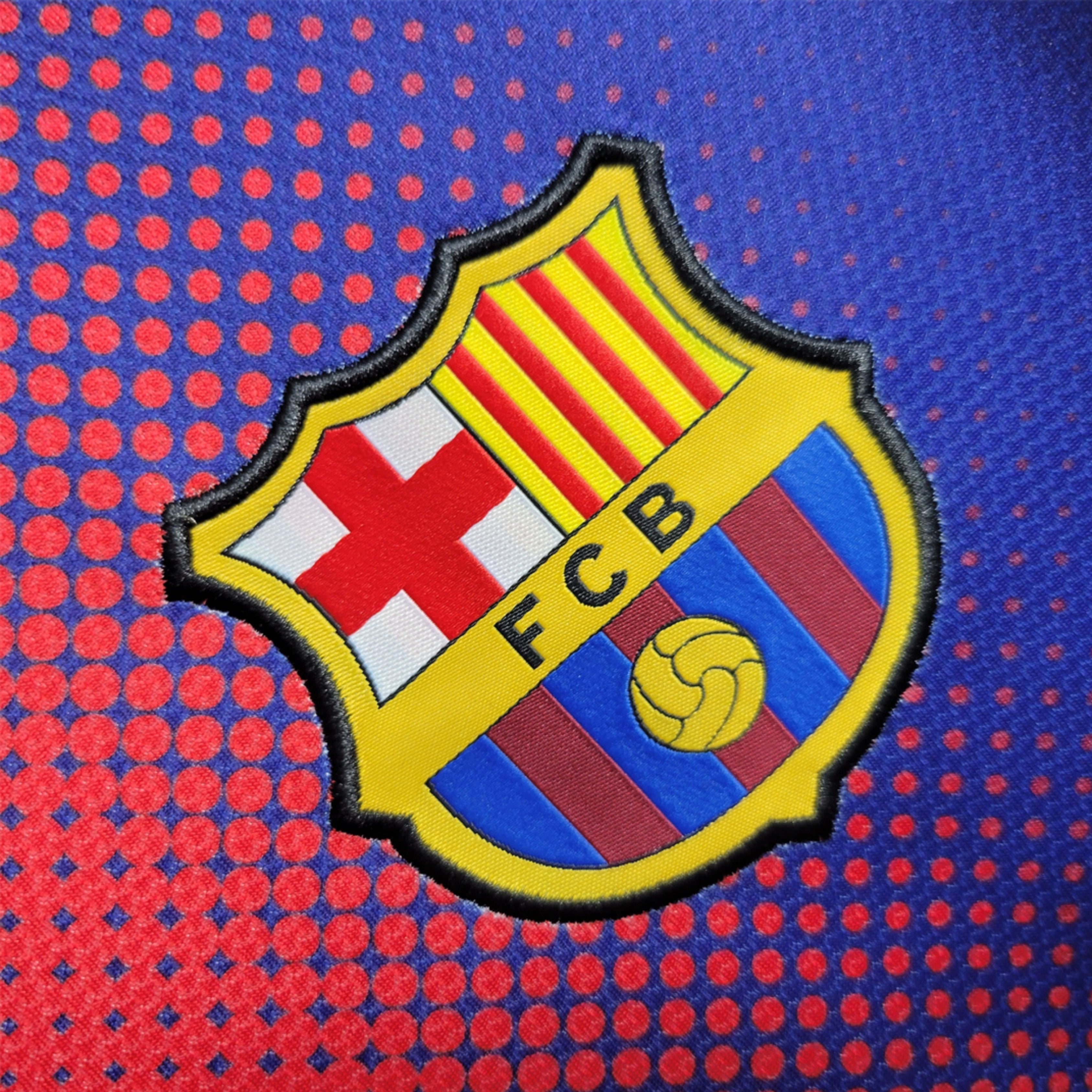 FC Barcelona 2012/13 Local